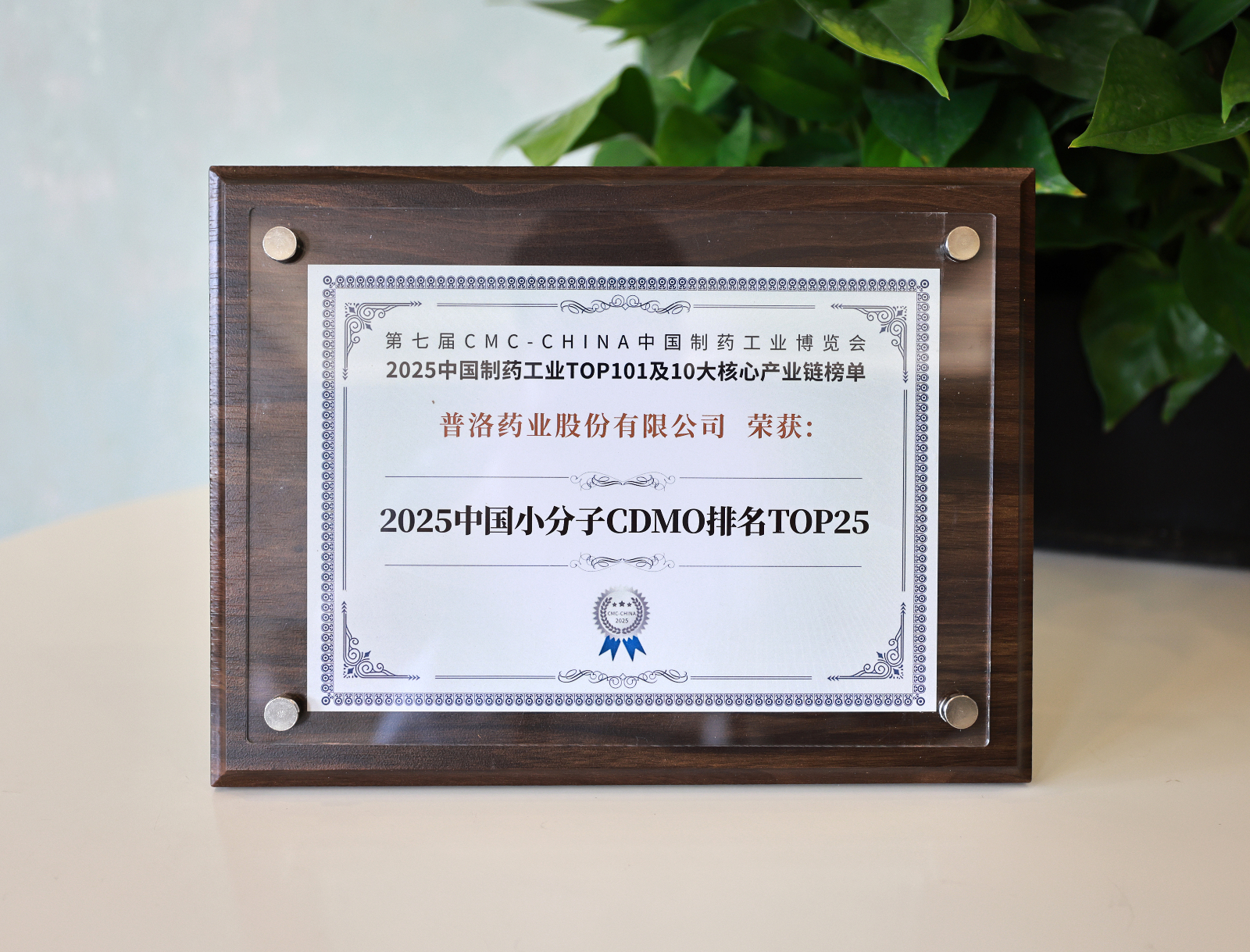 2025中国小分子CDMO排名TOP25.JPG