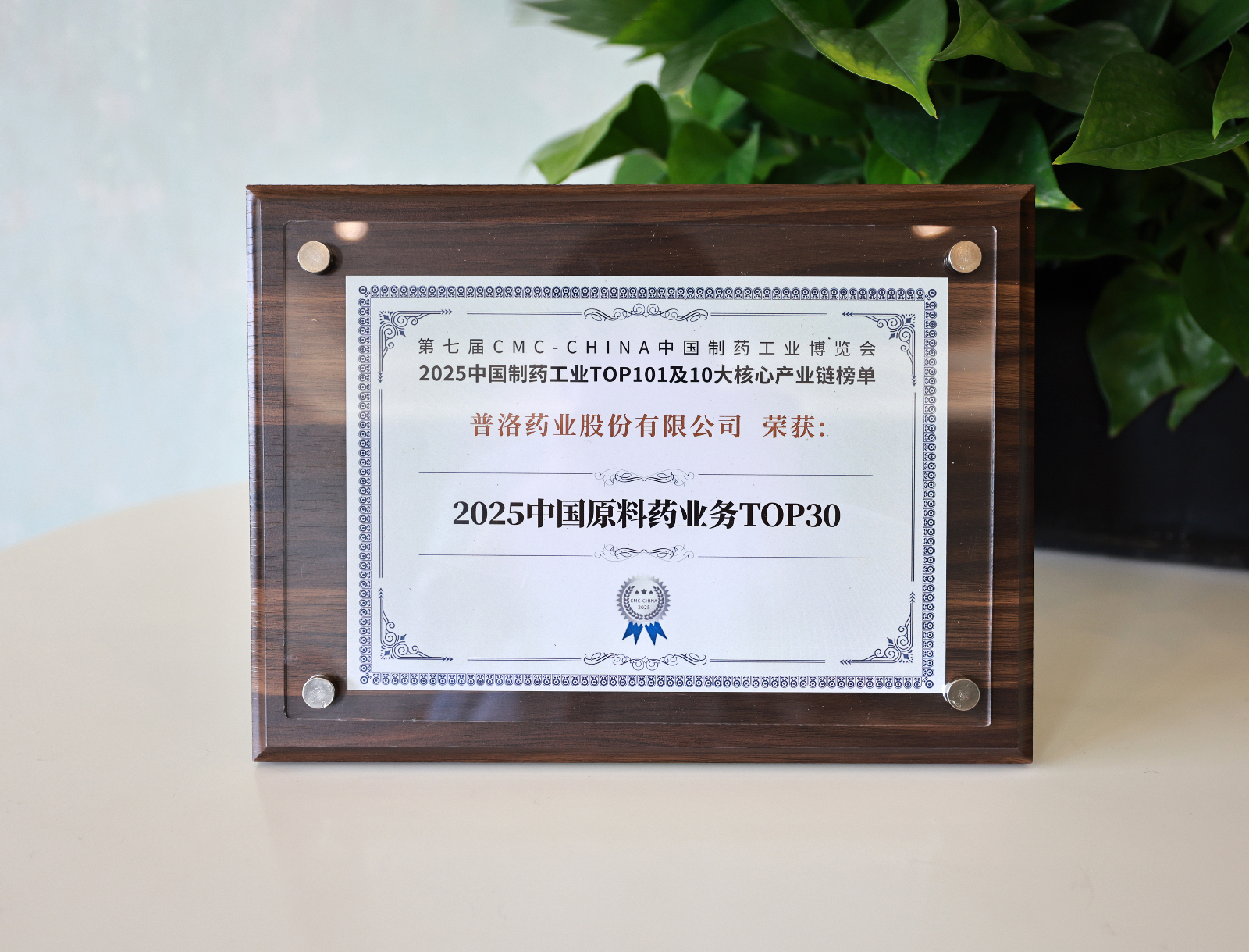 2025中国原料药业务TOP30.JPG
